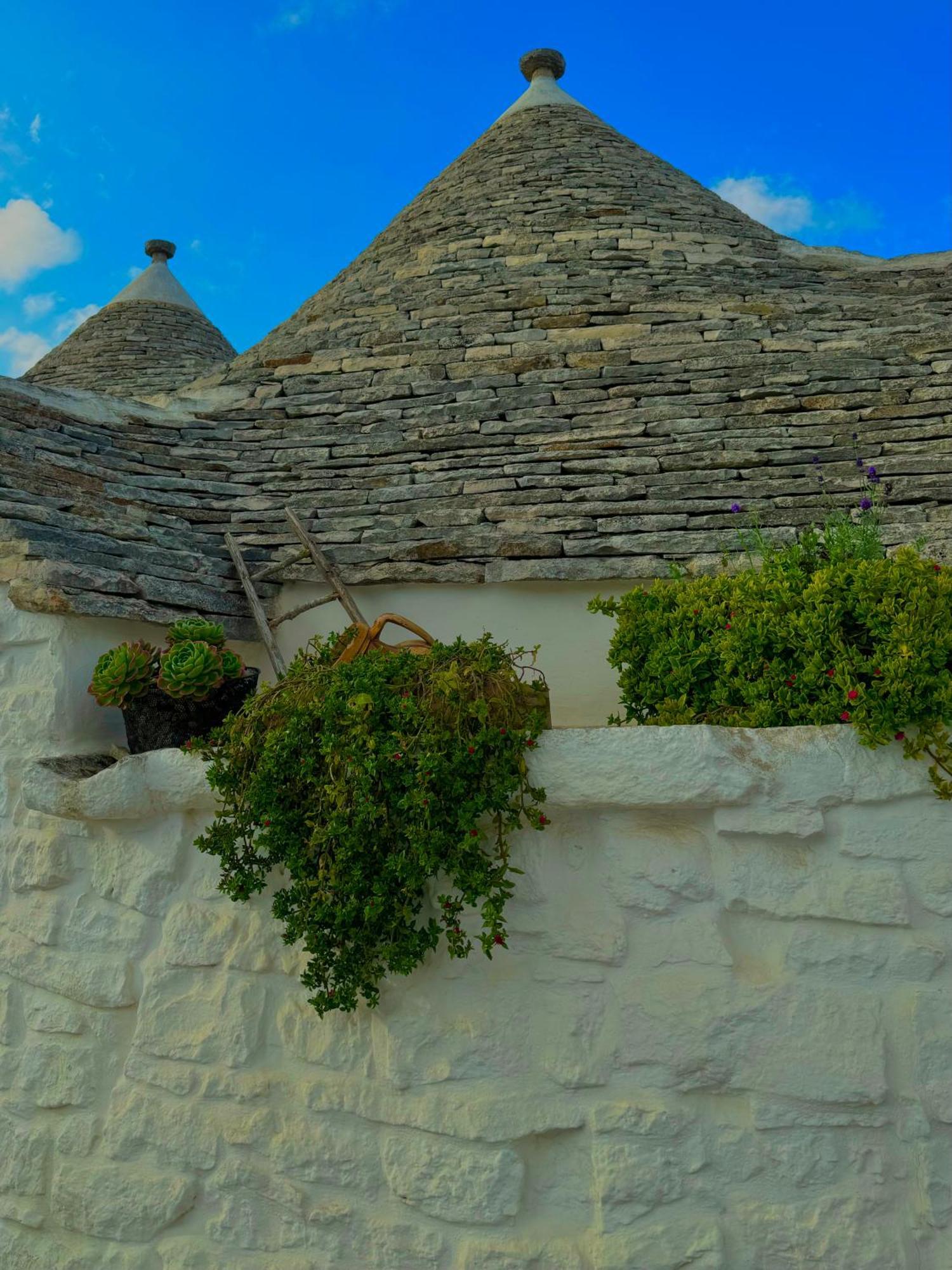 Villa Trullo Galileo Alberobello Exterior foto